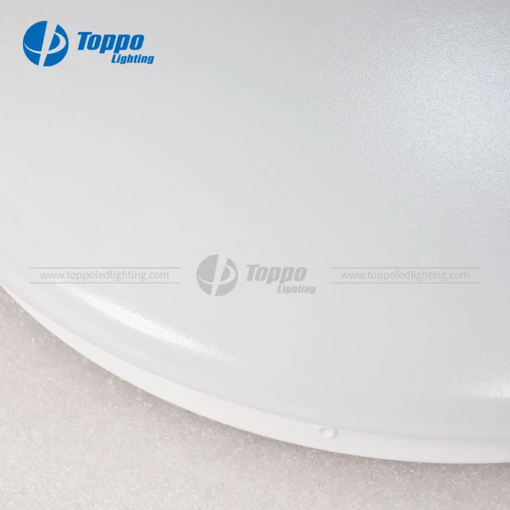 আইপি 20 সারফেস মাউন্ট ফ্লাশমন্ট / সিলিং 5 বছরের ওয়ারেন্টি